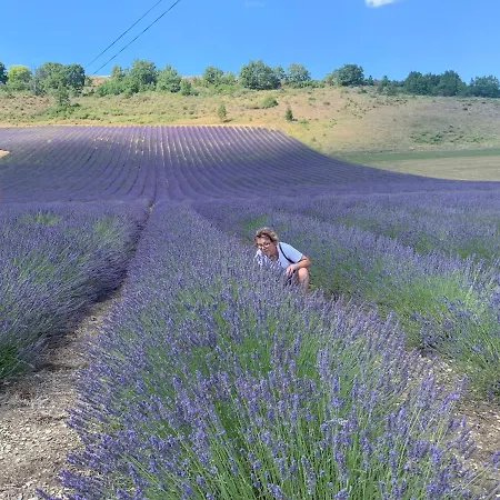 Marion Plage Site Masdorcyan *