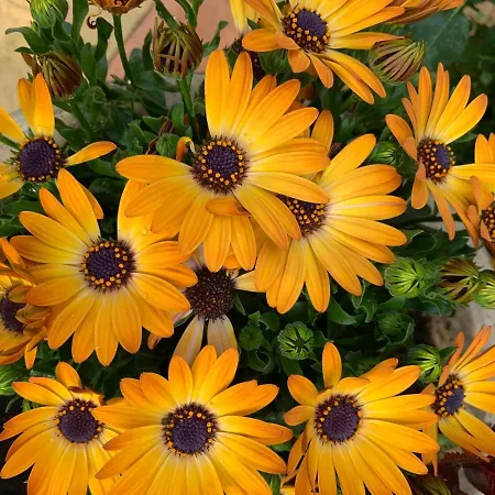 Marion Plage * Cagnes-sur-Mer