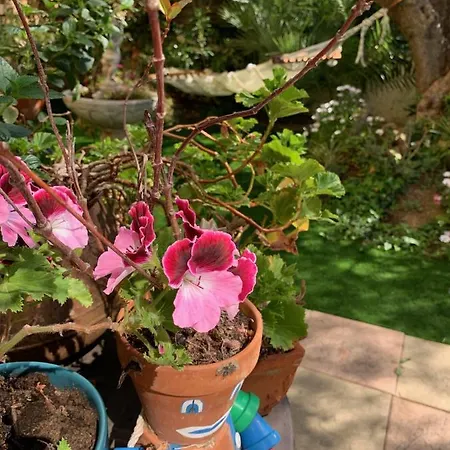 Lejlighed Marion Plage *