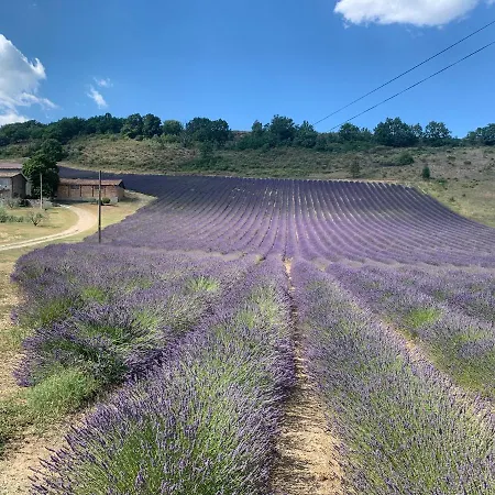 Marion Plage Lejlighed